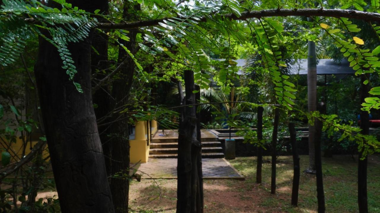 Mind Body And Soul Hotel Дамбула Екстериор снимка