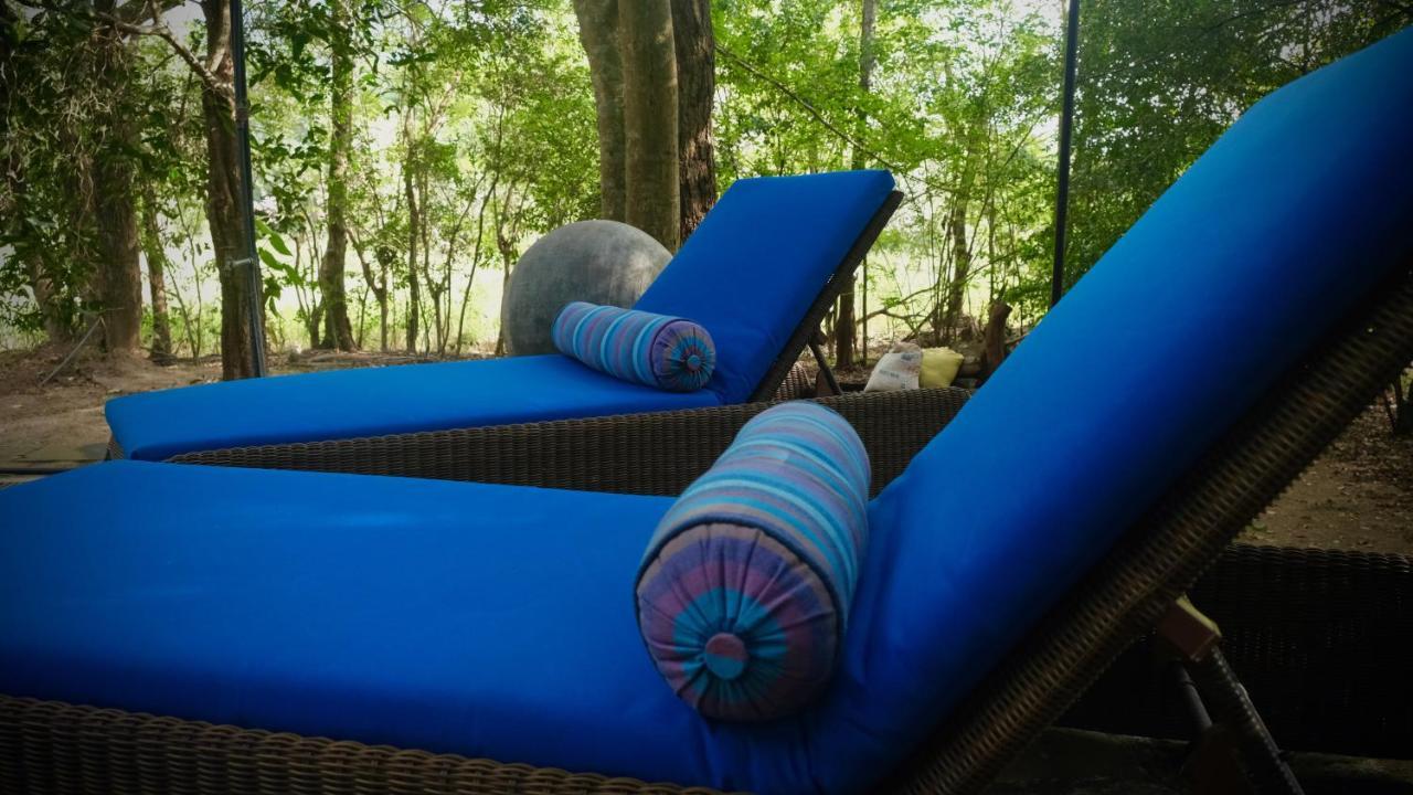 Mind Body And Soul Hotel Дамбула Екстериор снимка