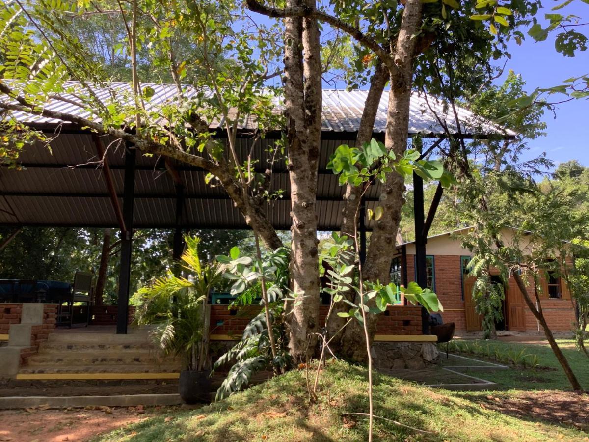 Mind Body And Soul Hotel Дамбула Екстериор снимка